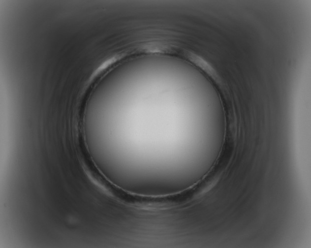 X0000086040530200704131936