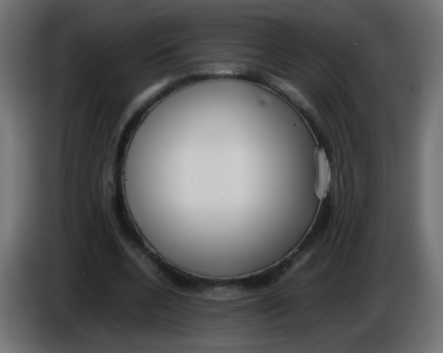 X0000086040536200704131937