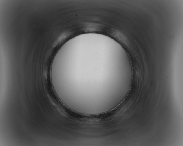 X0000086040539200704131937