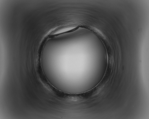 X0000086040540200704131937