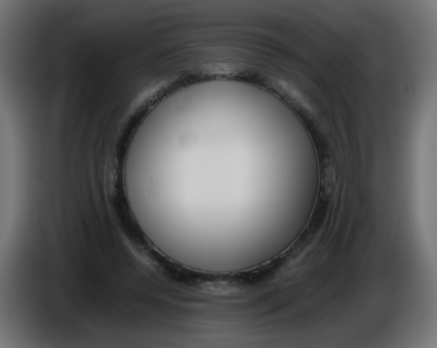X0000086040544200704131937