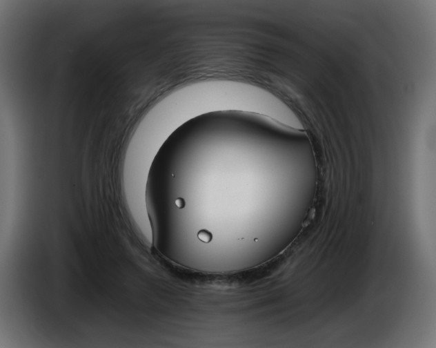 X0000086040546200704131937