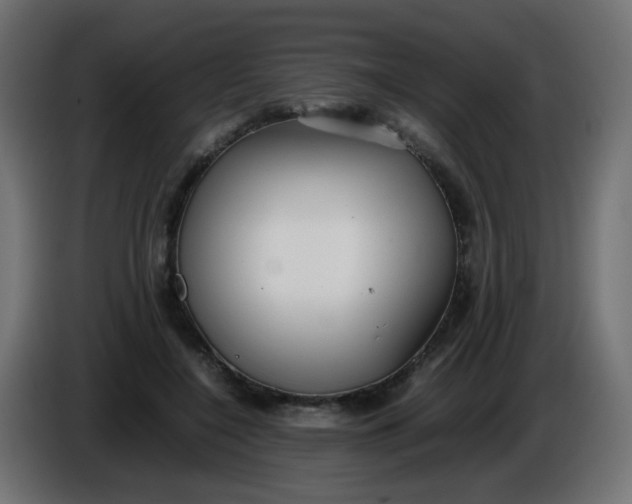 X0000086040548200704131937