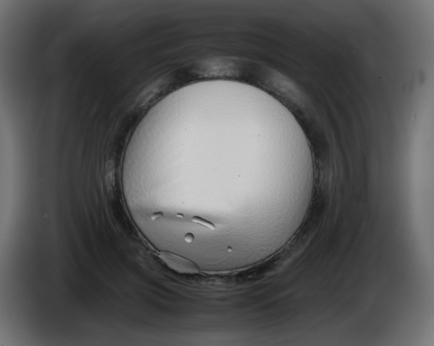 X0000086040549200704131937