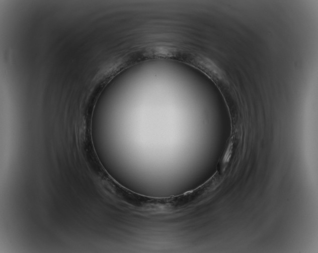 X0000086040552200704131937