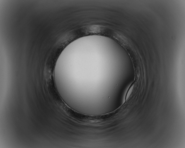X0000086040555200704131937