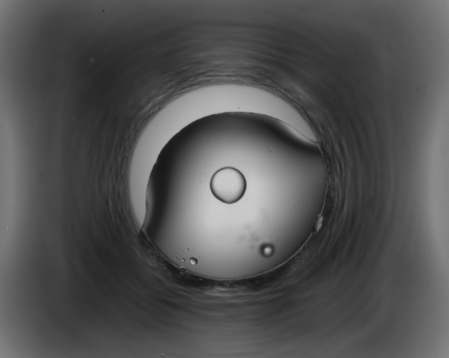 X0000086040556200704131937