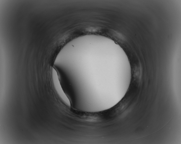 X0000086040559200704131937