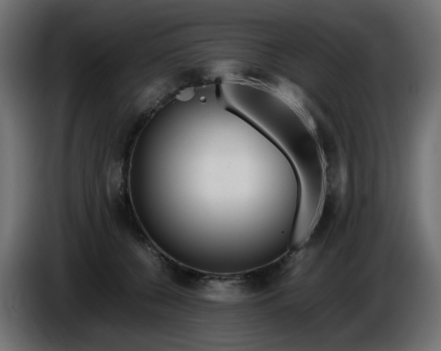 X0000086040560200704131937