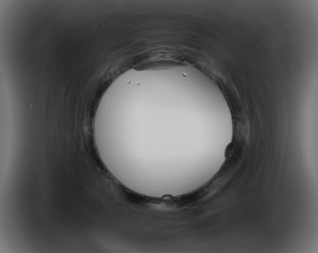 X0000086040561200704131937