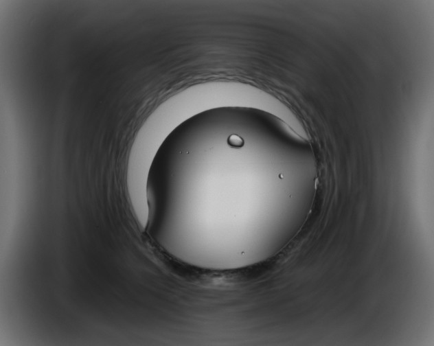 X0000086040564200704131937