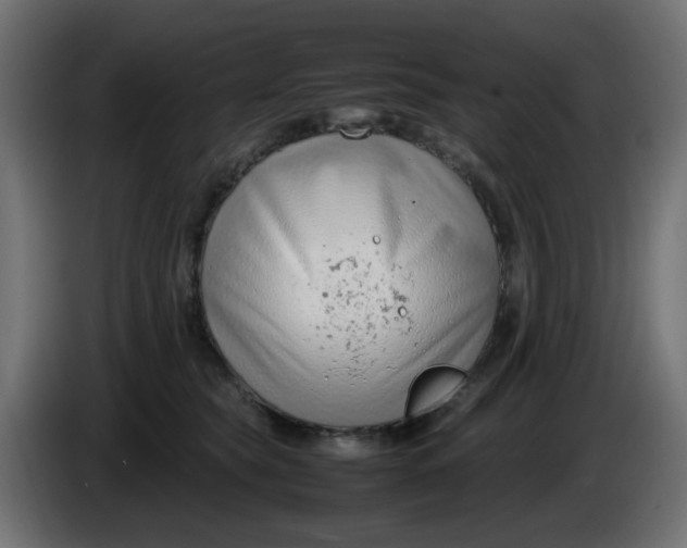X0000086040565200704131937