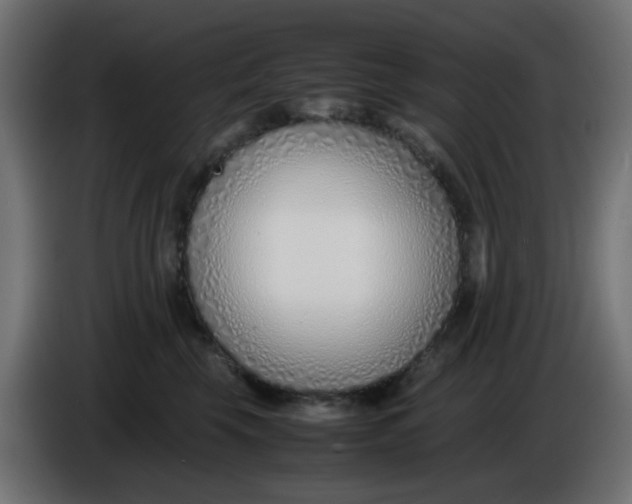 X0000086040569200704131937