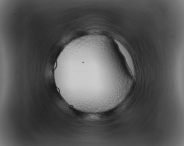 X0000086040573200704131937