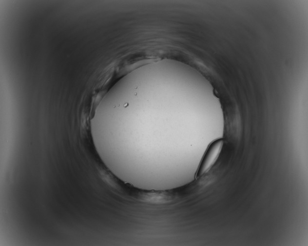 X0000086040574200704131937
