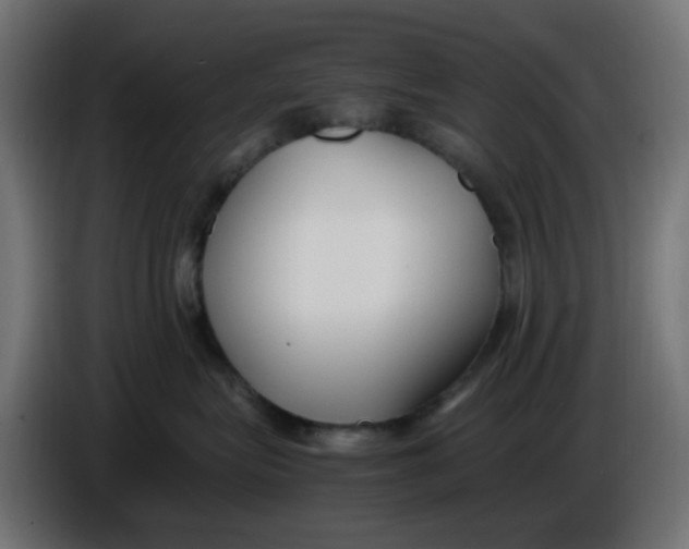 X0000086040575200704131937