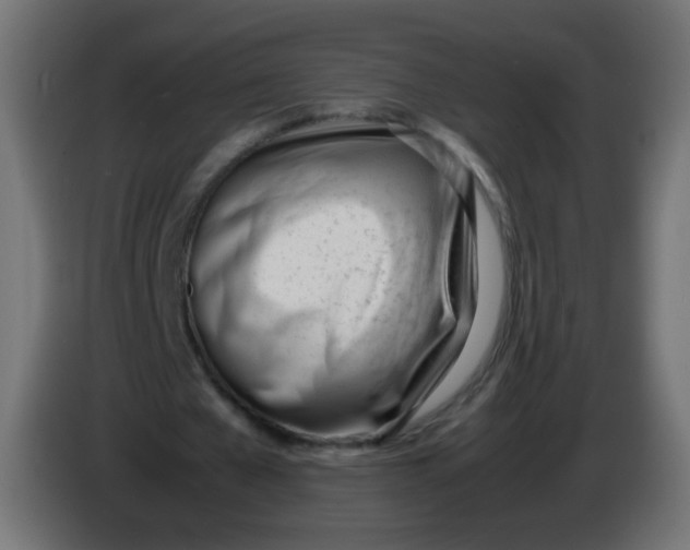X0000086040577200704131936