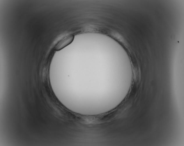 X0000086040579200704131936