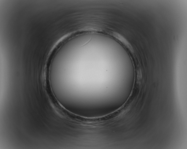 X0000086040580200704131936