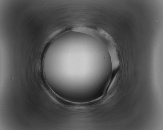 X0000086040581200704131936