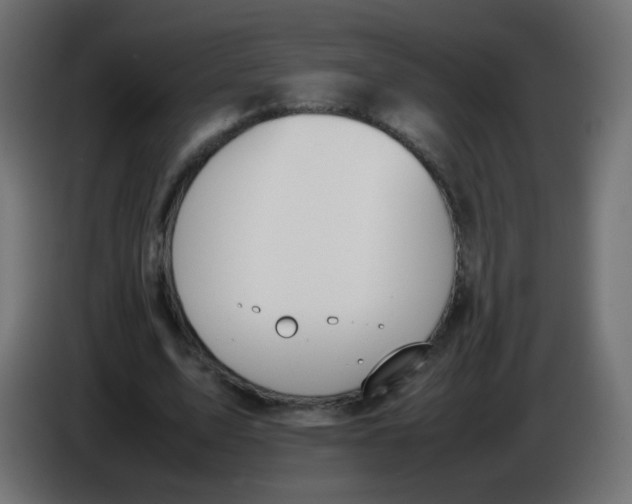 X0000086040583200704131936