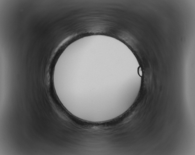X0000086040584200704131936