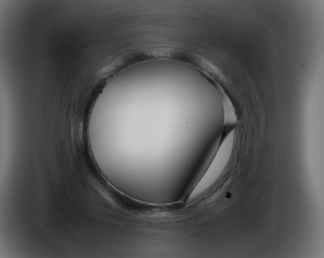 X0000086040589200704131936