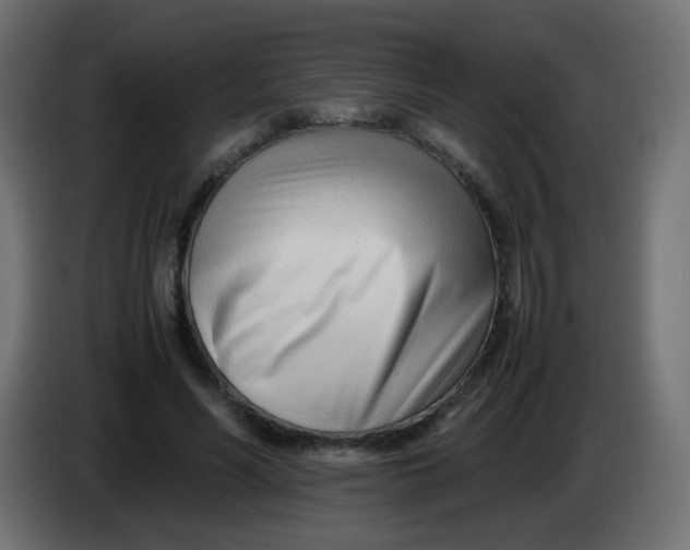 X0000086040590200704131936