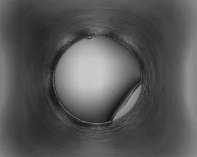 X0000086040591200704131936