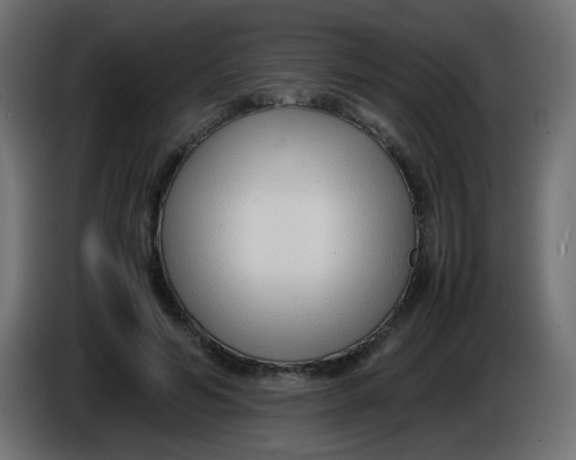 X0000086040594200704131936