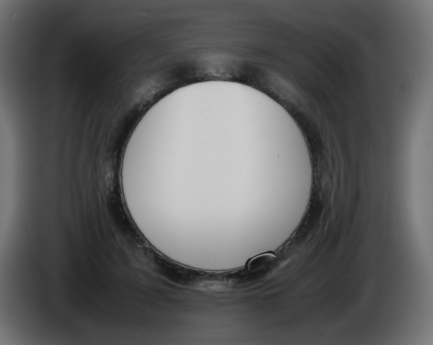 X0000086040595200704131936