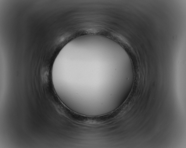 X0000086040596200704131936