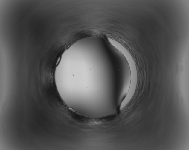 X0000086040613200704131936