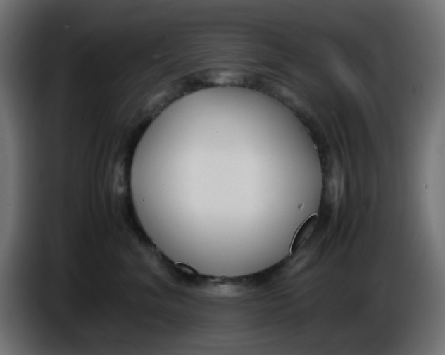 X0000086040620200704131936