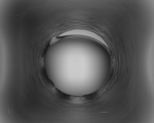 X0000086040621200704131936
