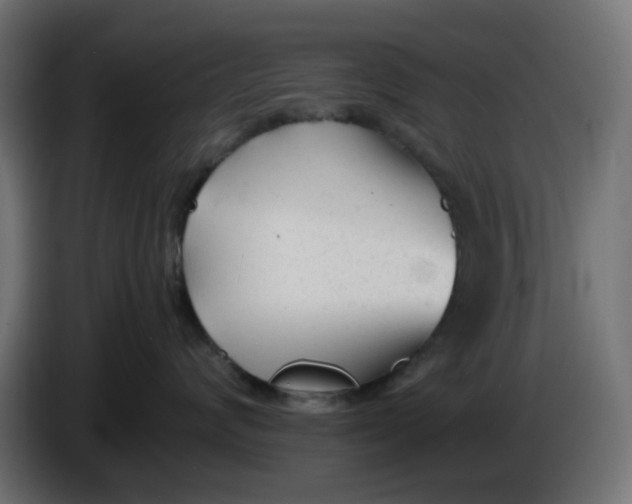 X0000086040624200704131936