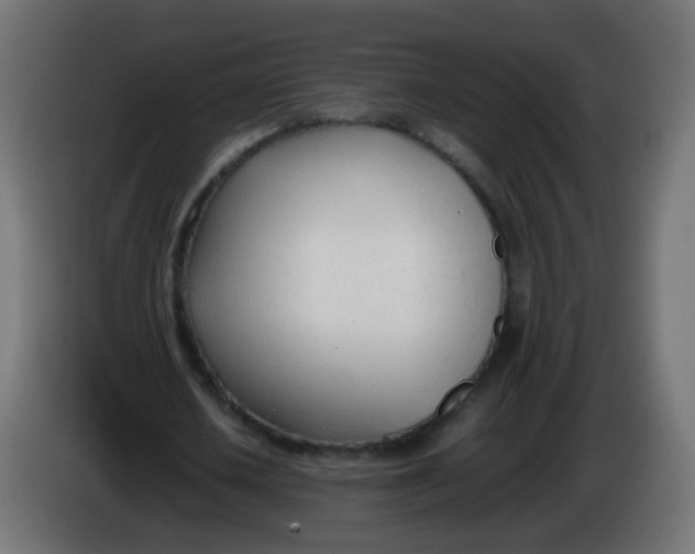 X0000086040626200704131935
