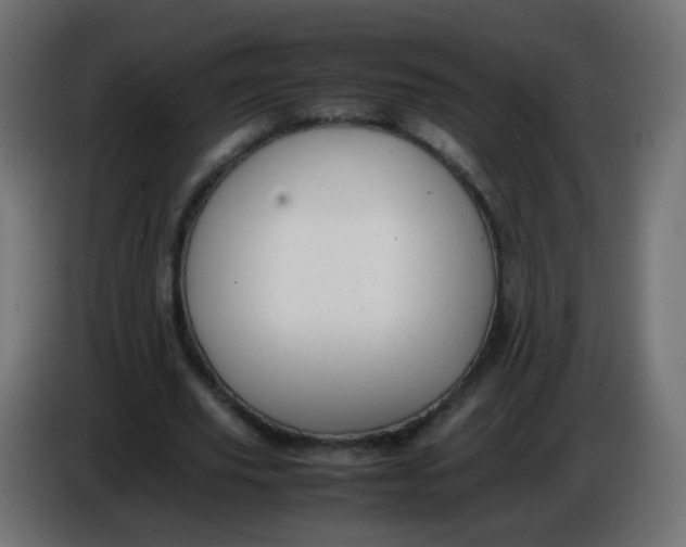 X0000086040629200704131935