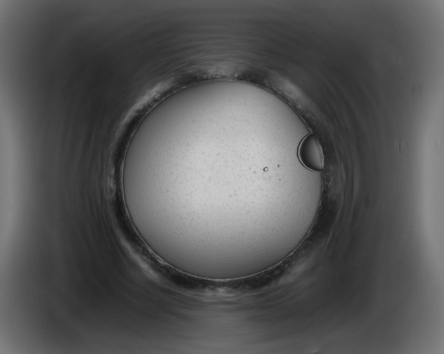 X0000086040634200704131935