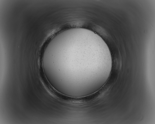 X0000086040638200704131935