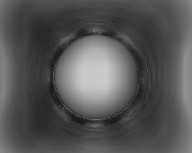 X0000086040639200704131935