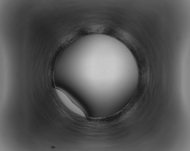 X0000086040641200704131935