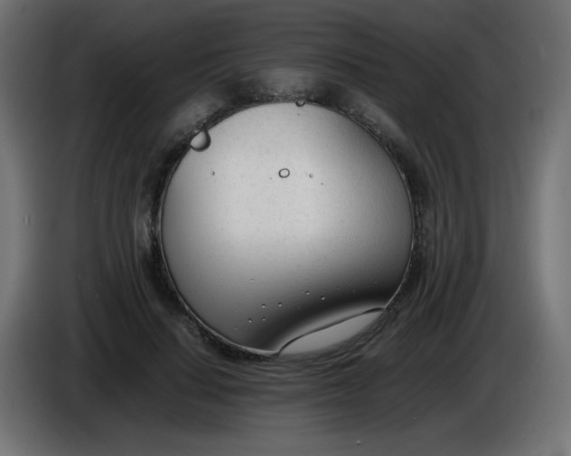 X0000086040644200704131935