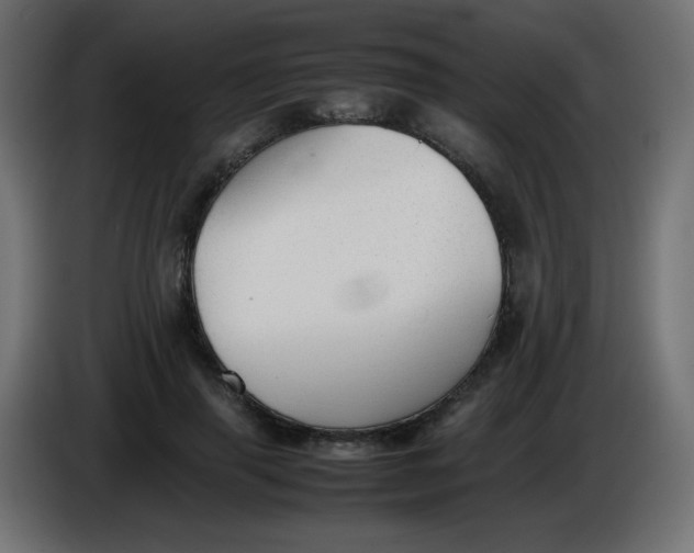 X0000086040645200704131935