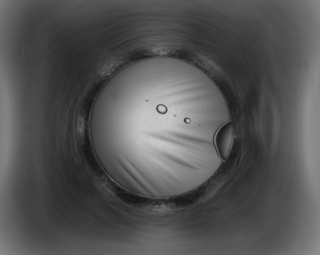 X0000086040646200704131935