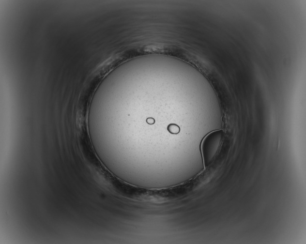X0000086040648200704131935