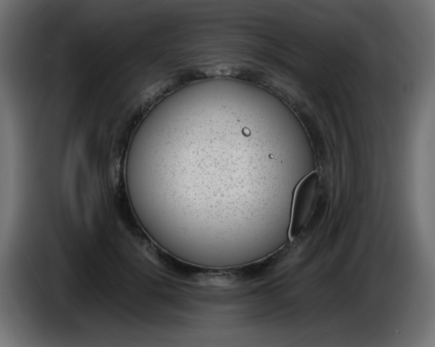 X0000086040652200704131936