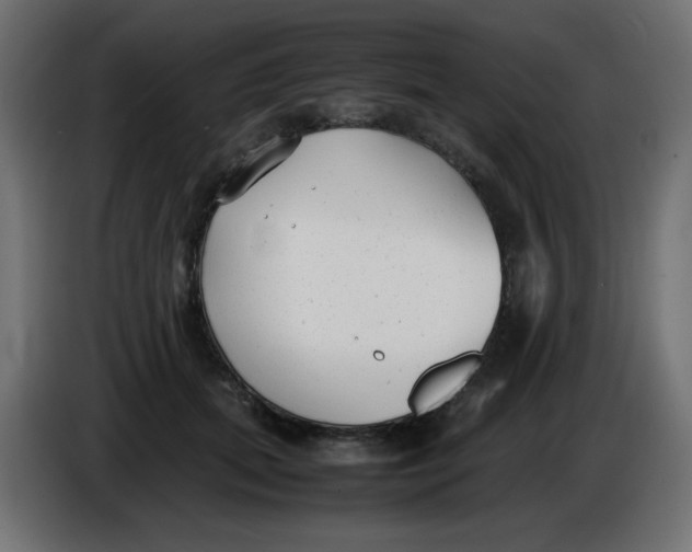 X0000086040655200704131936