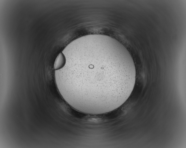 X0000086040658200704131936