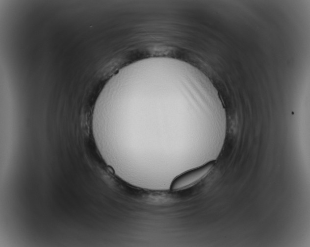 X0000086040666200704131936